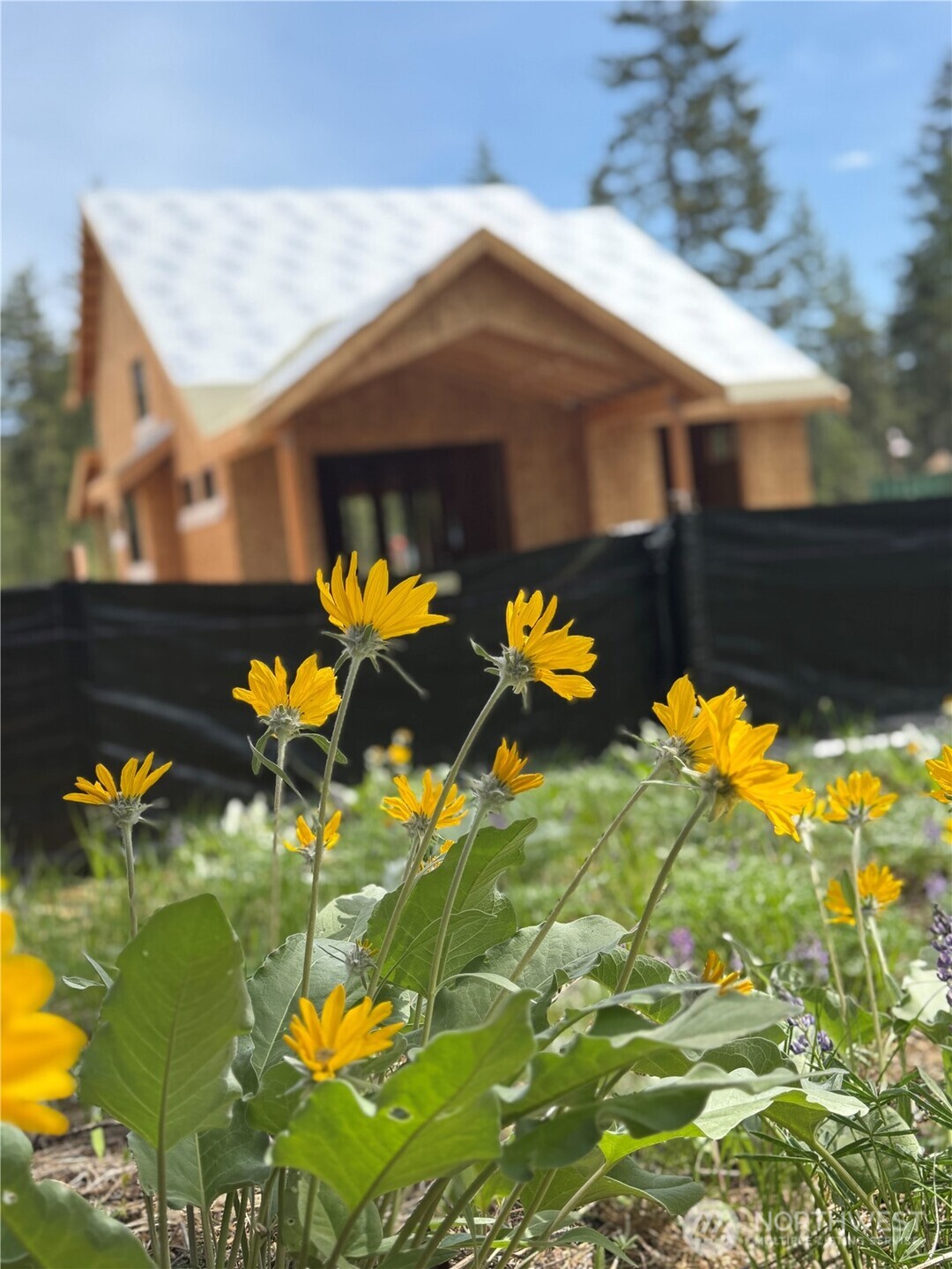 141 Plateau Loop Cle Elum WA 98922