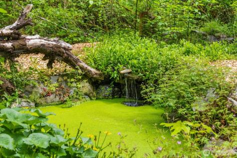 9720 NE Lofgren Road Bainbridge Island WA 98110