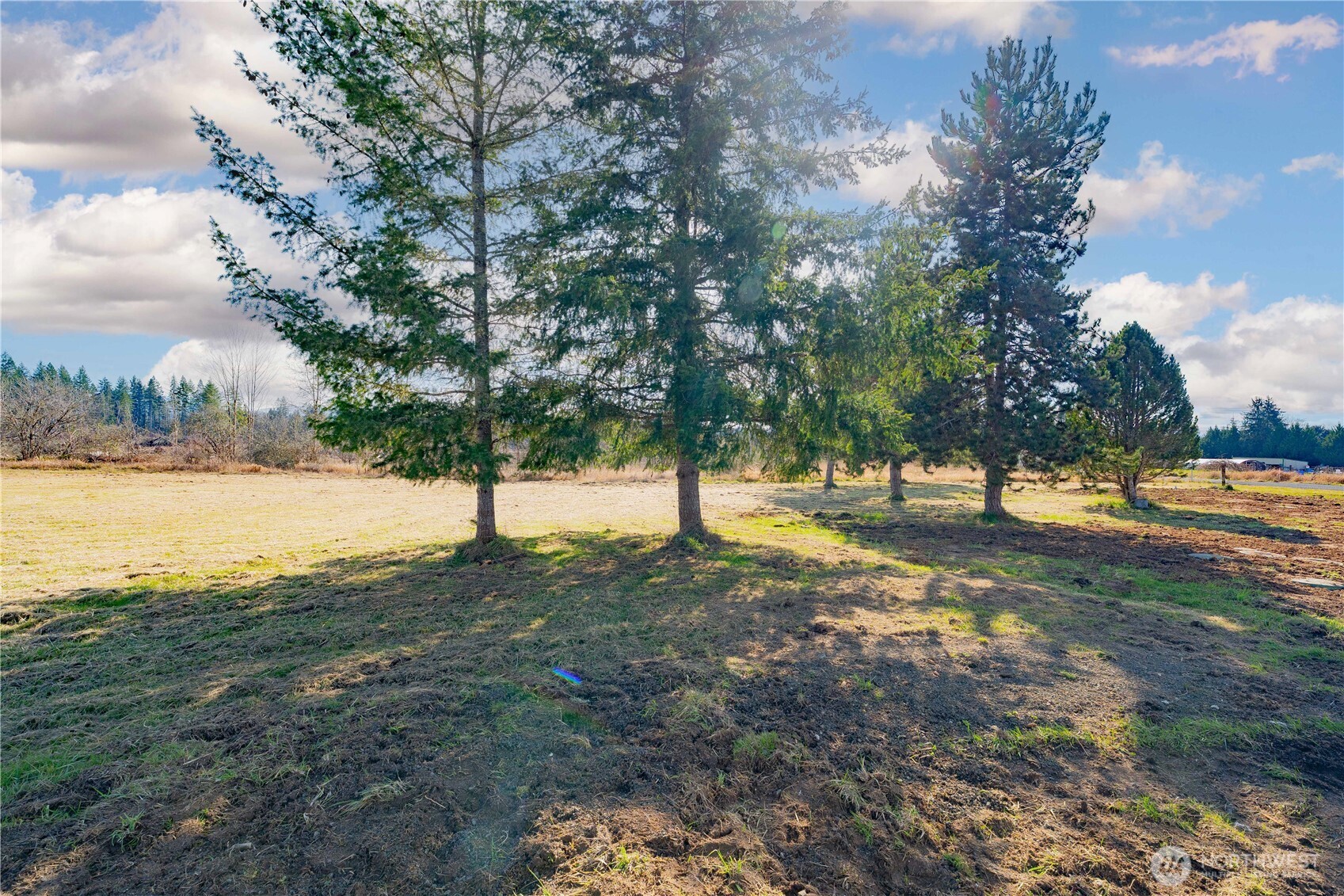 152 Mask Lane Toutle WA 98649