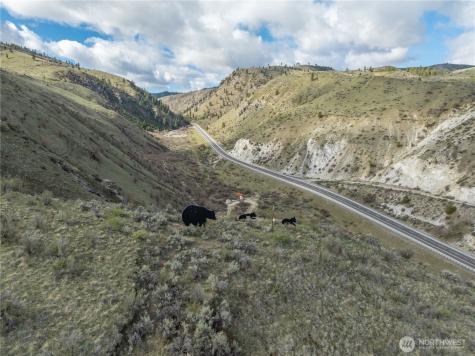 111 Hawks Meadow Chelan WA 98816