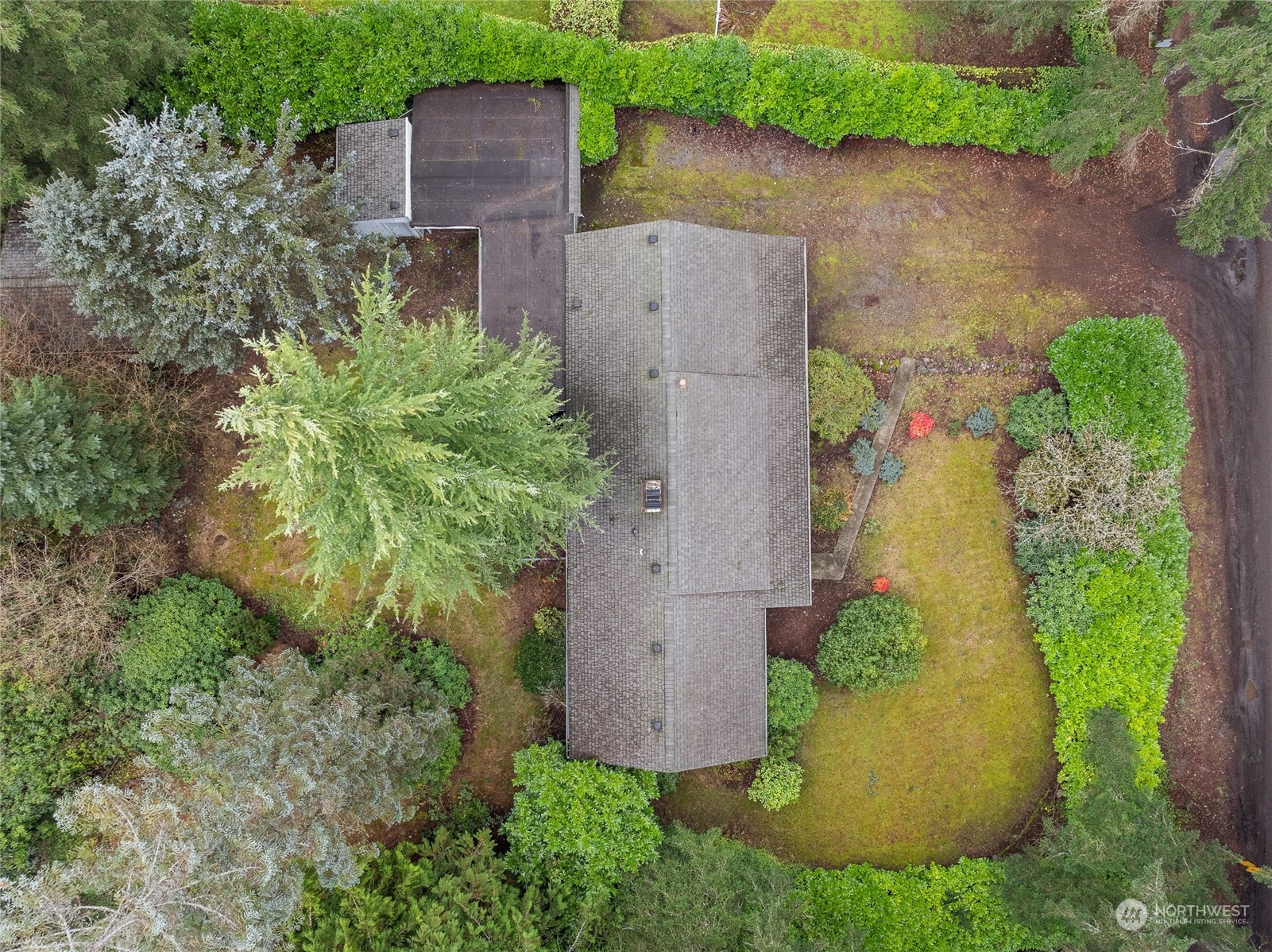 12624 Glenwood Avenue SW Lakewood WA 98499