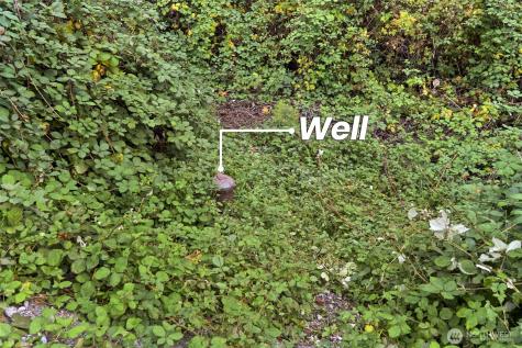 32 E Mountain View Road Camano Island WA 98282