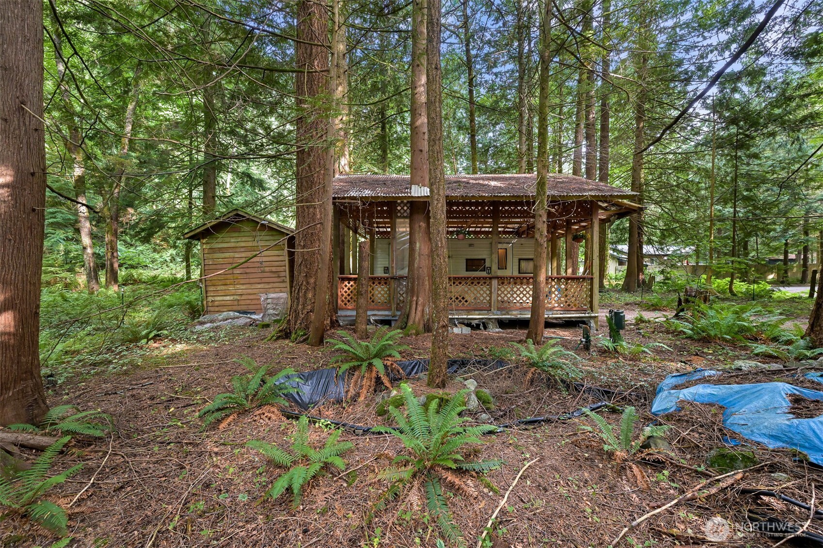 1111 Alder Lane Sumas WA 98266