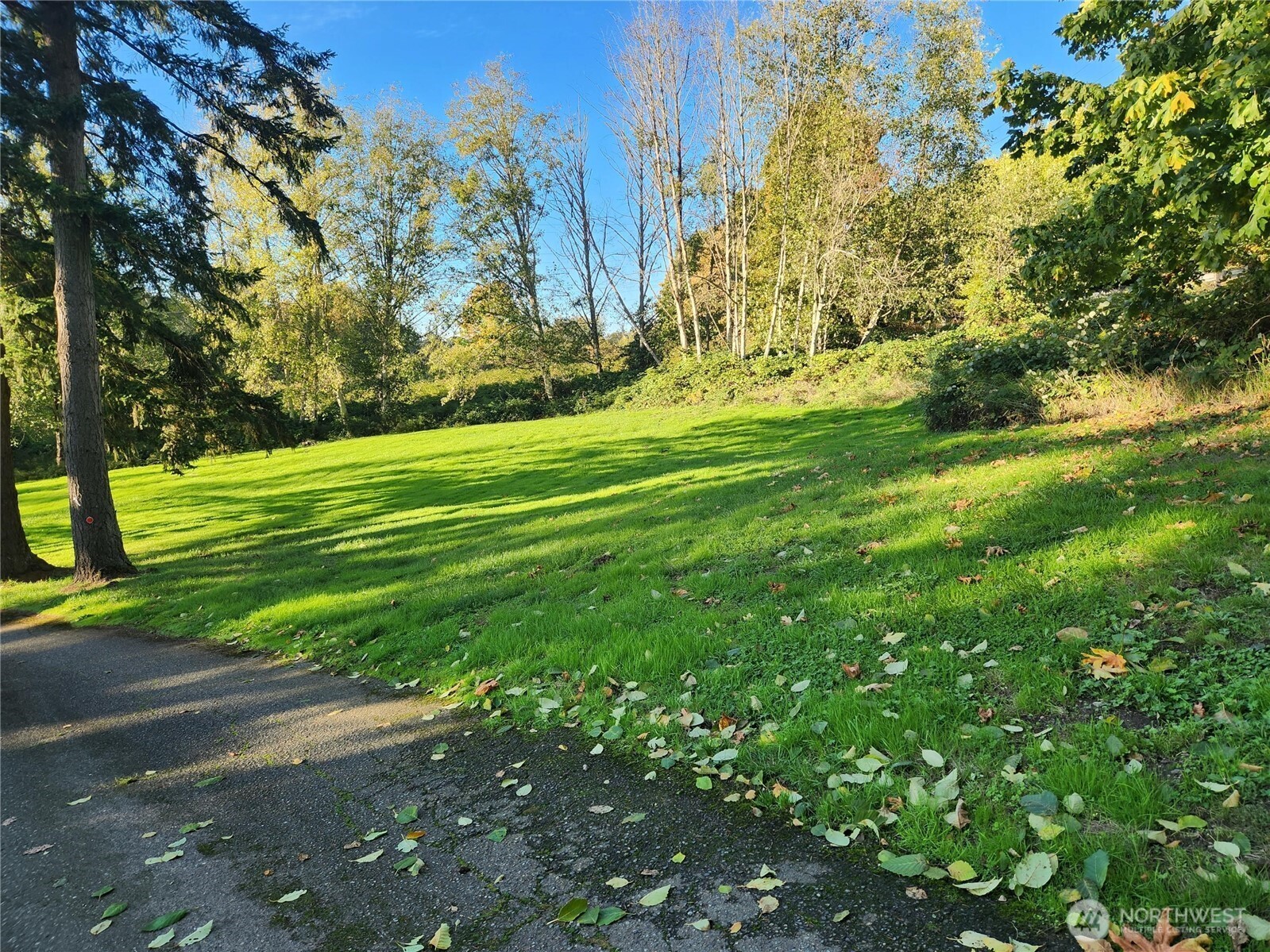 9859 Redmond Woodinville Road NE Redmond WA 98052