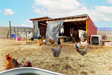 2416 Clerf Road Ellensburg WA 98926