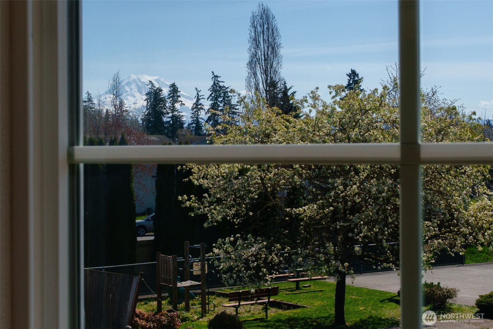 17214 24th Avenue Ct E Tacoma WA 98445