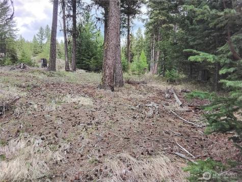 88 Cow Camp Road Oroville WA 98844
