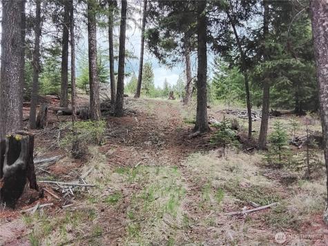 88 Cow Camp Road Oroville WA 98844