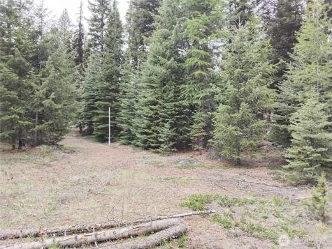 88 Cow Camp Road Oroville WA 98844