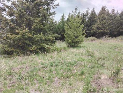 88 Cow Camp Road Oroville WA 98844