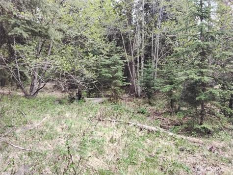 88 Cow Camp Road Oroville WA 98844