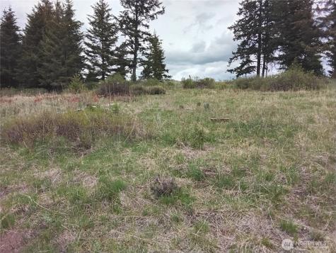88 Cow Camp Road Oroville WA 98844
