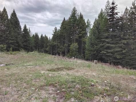 88 Cow Camp Road Oroville WA 98844