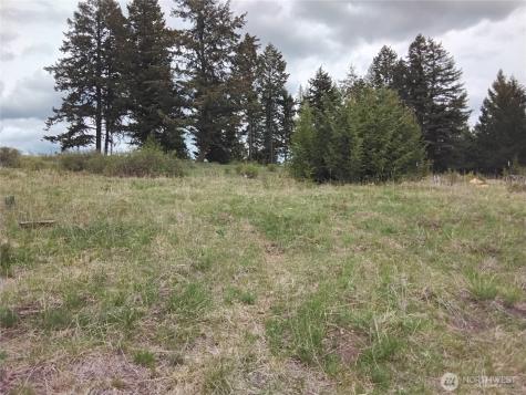 88 Cow Camp Road Oroville WA 98844