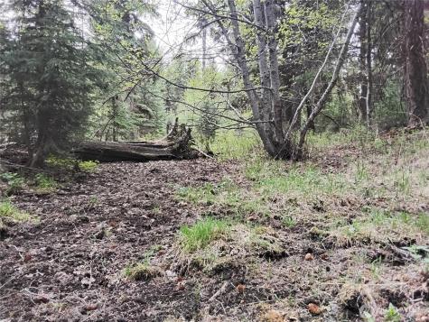88 Cow Camp Road Oroville WA 98844