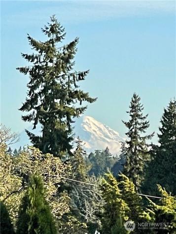 1055 91st Avenue NE Bellevue WA 98004