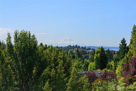 6222 37th Avenue NE Seattle WA 98115