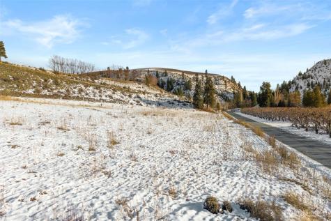 55 Swanson Gulch Road Manson WA 98831