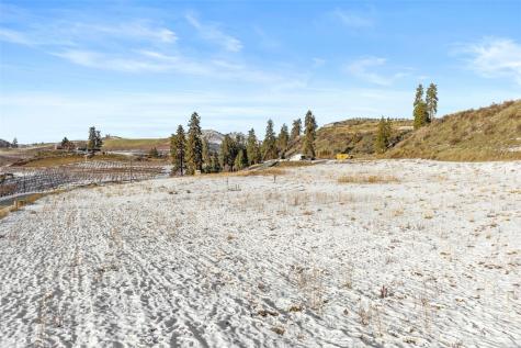 55 Swanson Gulch Road Manson WA 98831
