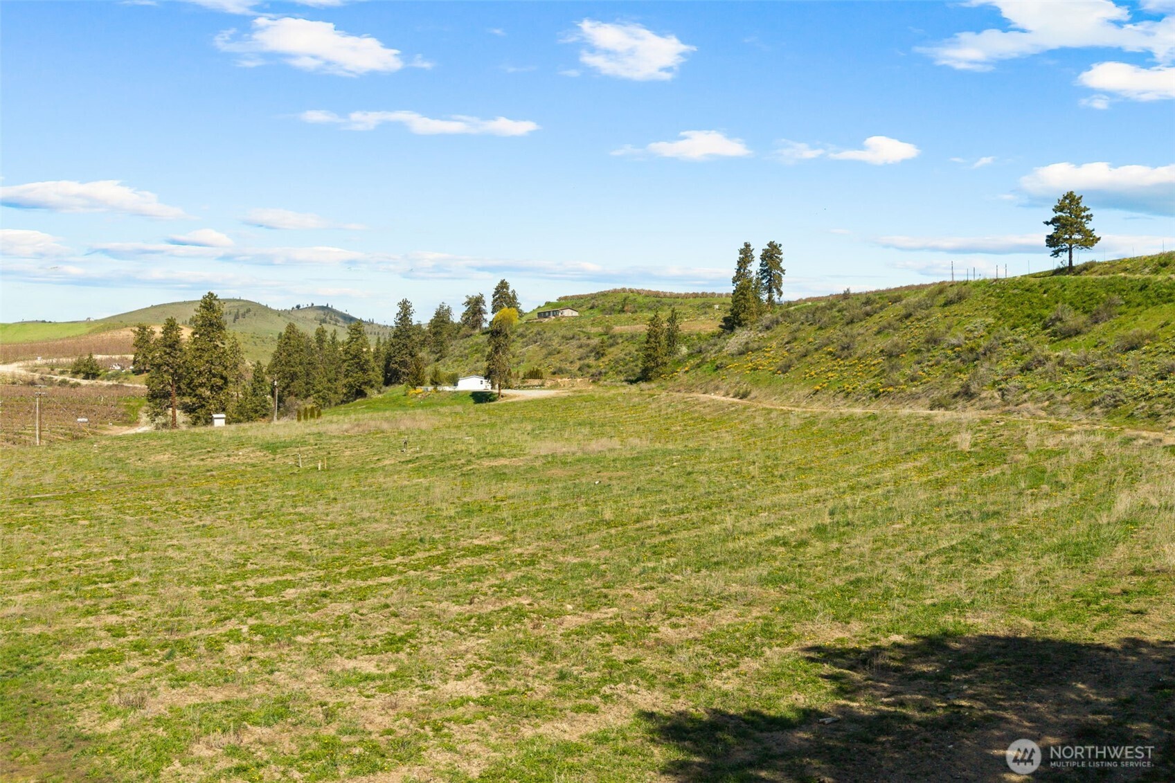 55 Swanson Gulch Road Manson WA 98831