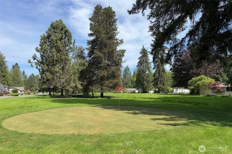 370 Dungeness Meadows Sequim WA 98382