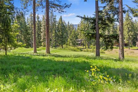1531 Larkspur Loop Cle Elum WA 98922