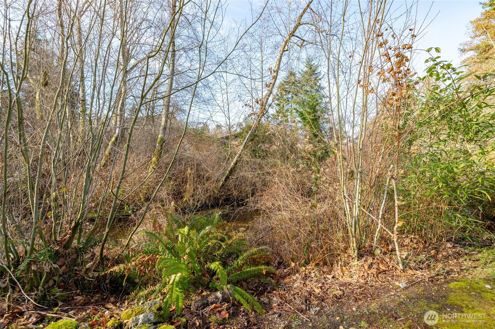 2408 148th Street SW Lynnwood WA 98087