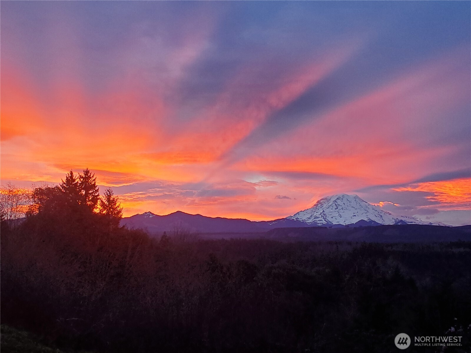 21806 168th Street E Orting WA 98360
