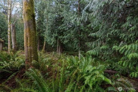 2408 208th Place SE Bothell WA 98021
