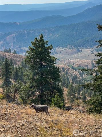 3050 Stiss Canyon Wenatchee WA 98801