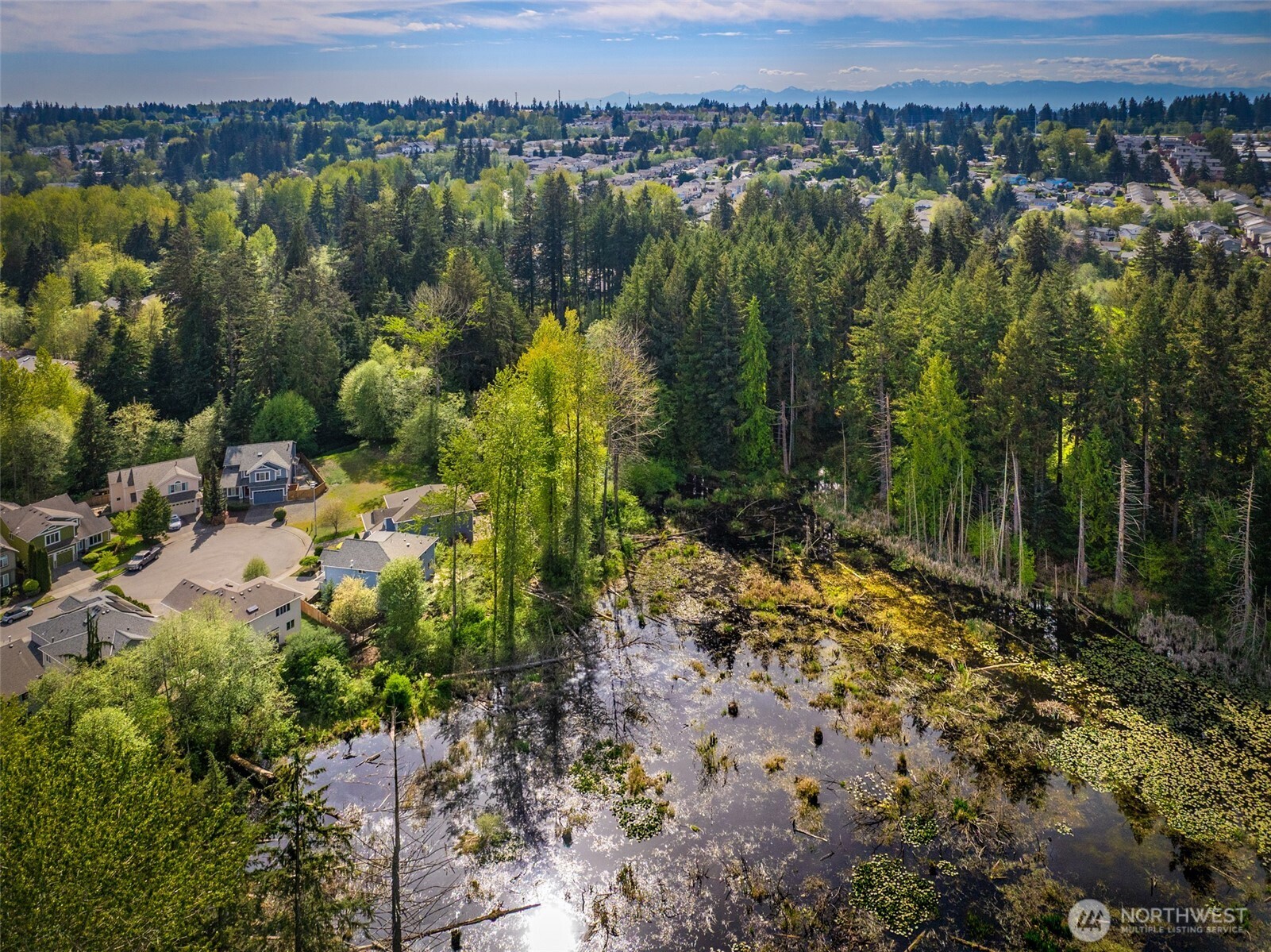 2029 142nd Place SW Lynnwood WA 98087