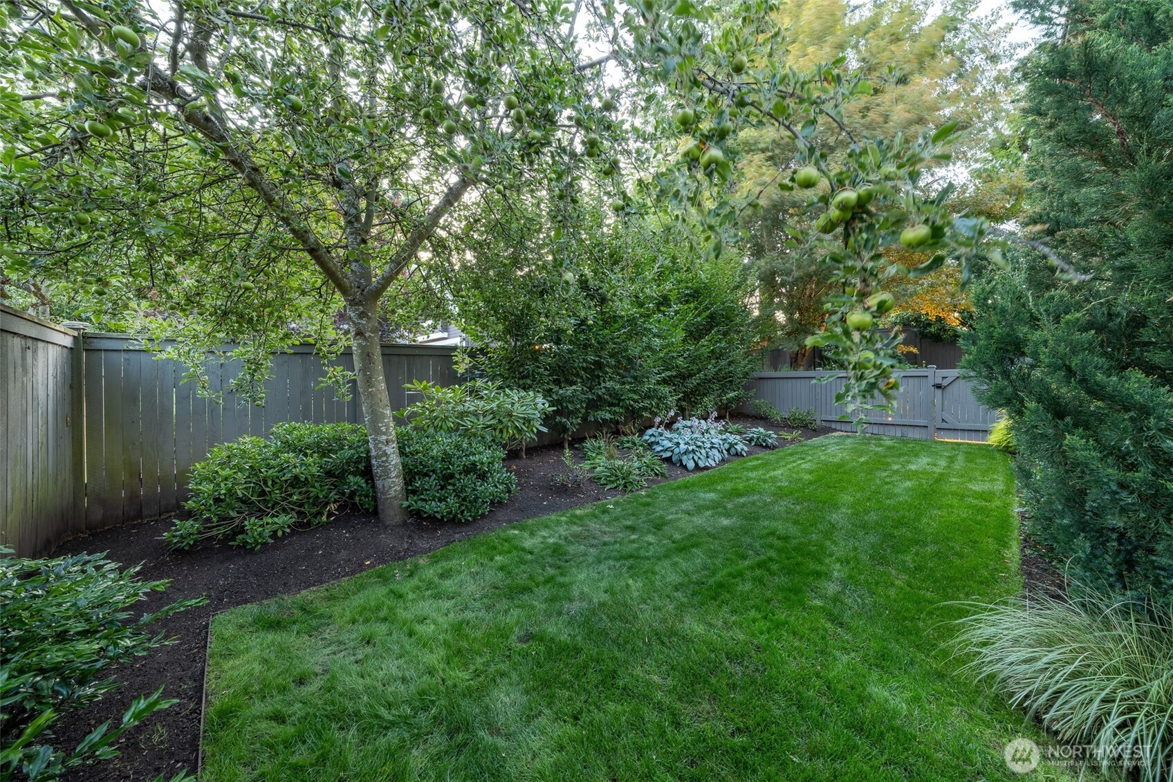 719 99th Avenue NE Bellevue WA 98004