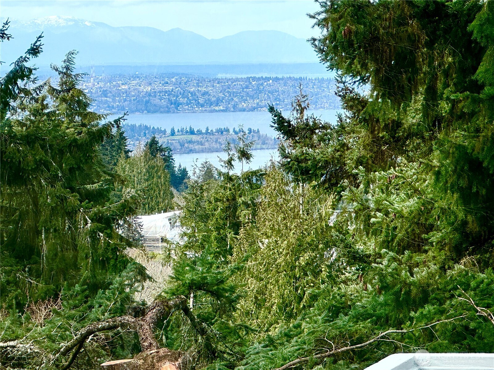 5403 154th Avenue SE Bellevue WA 98006