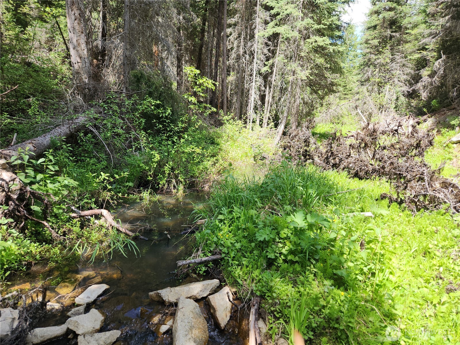363 Sheridan Road Republic WA 99166