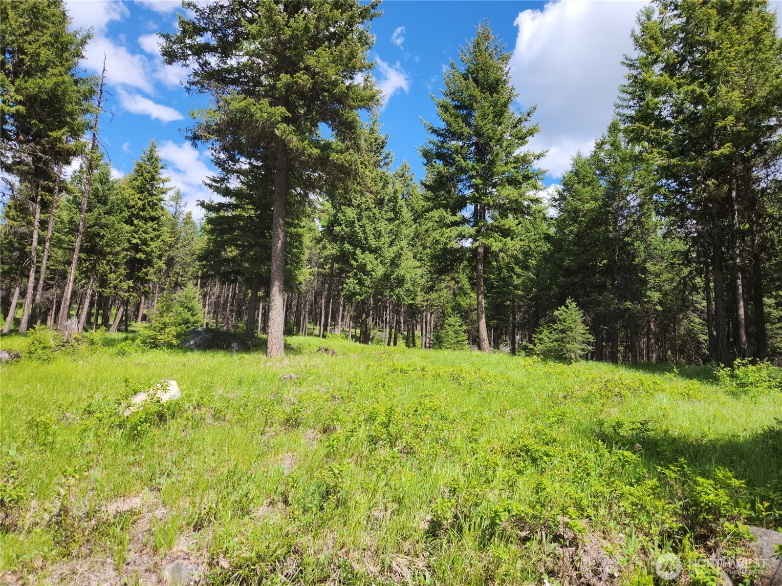 363 Sheridan Road Republic WA 99166