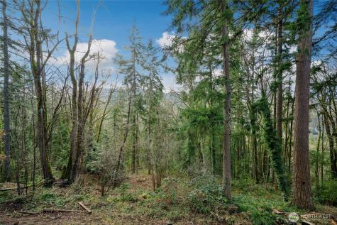 145 Mount Pilchuck Avenue SW Issaquah WA 98027