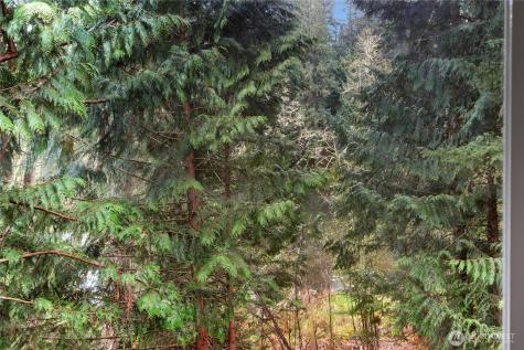 18715 Rampart Drive SE Yelm WA 98597