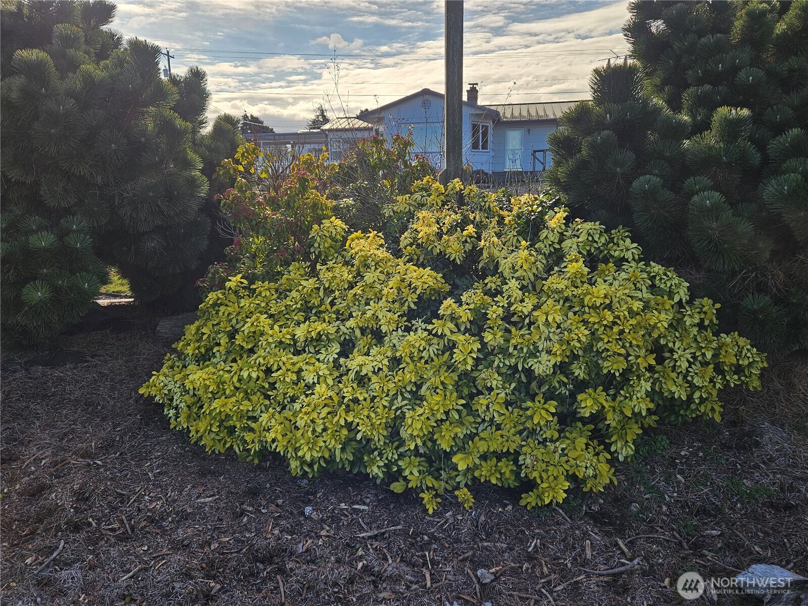 52 Libby Street Sequim WA 98382