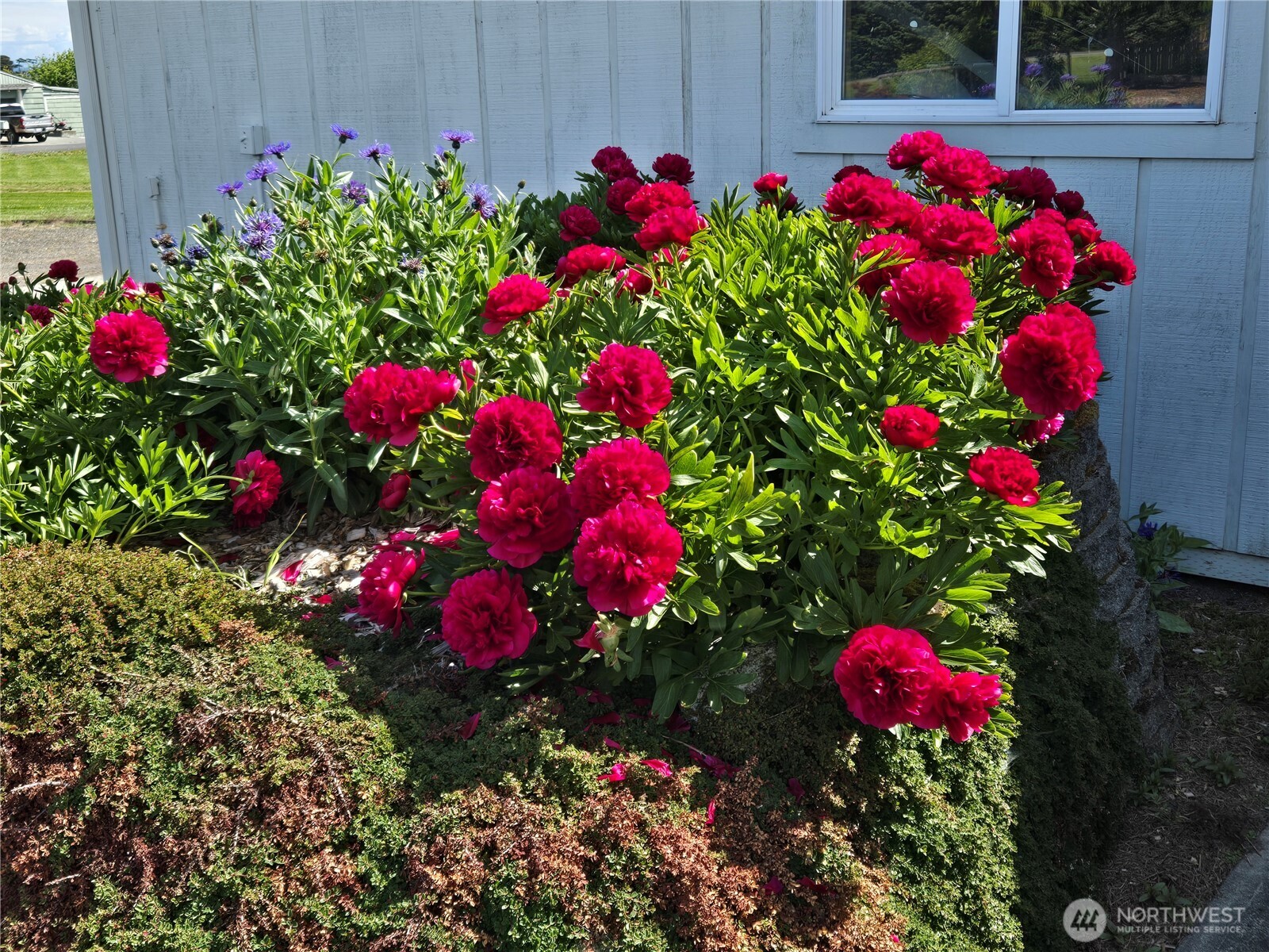 52 Libby Street Sequim WA 98382