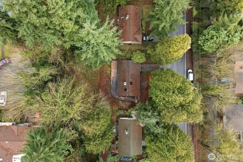 339 108th Avenue SE Bellevue WA 98004
