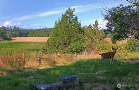 3295 Hastings Avenue Port Townsend WA 98368