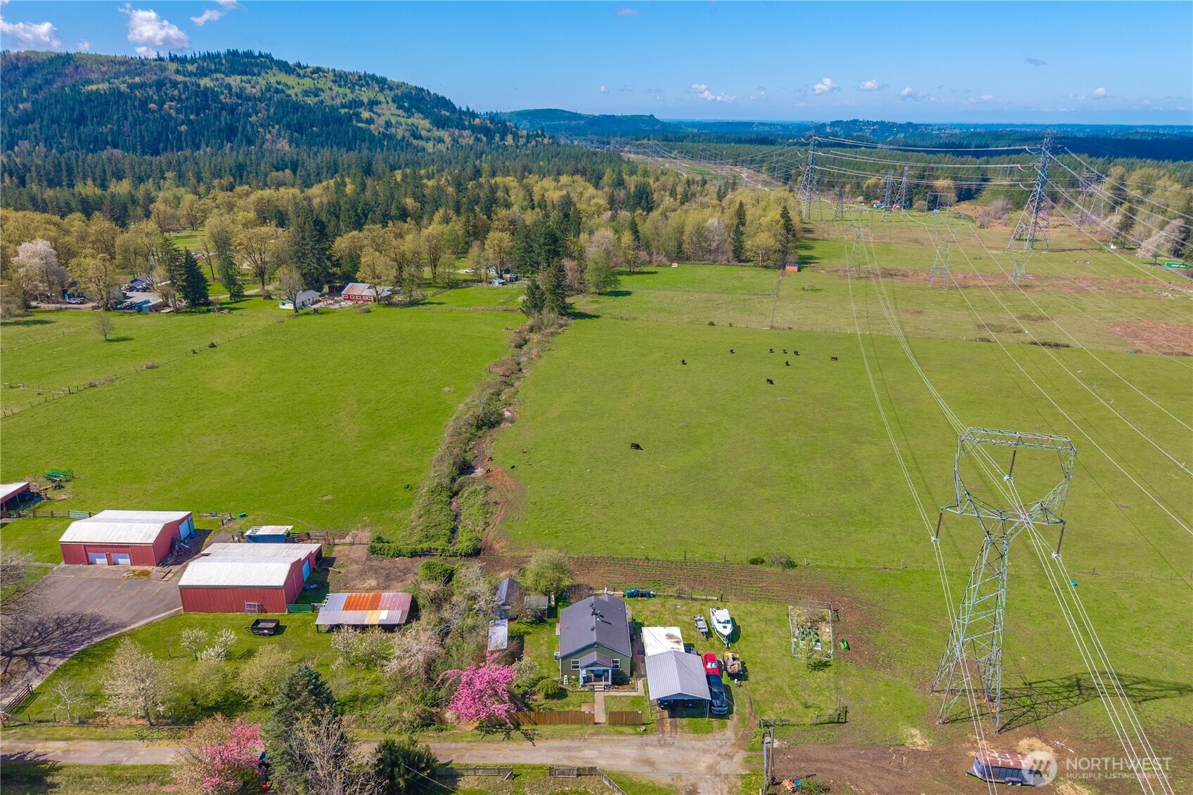 26719 346th Avenue SE Ravensdale WA 98051