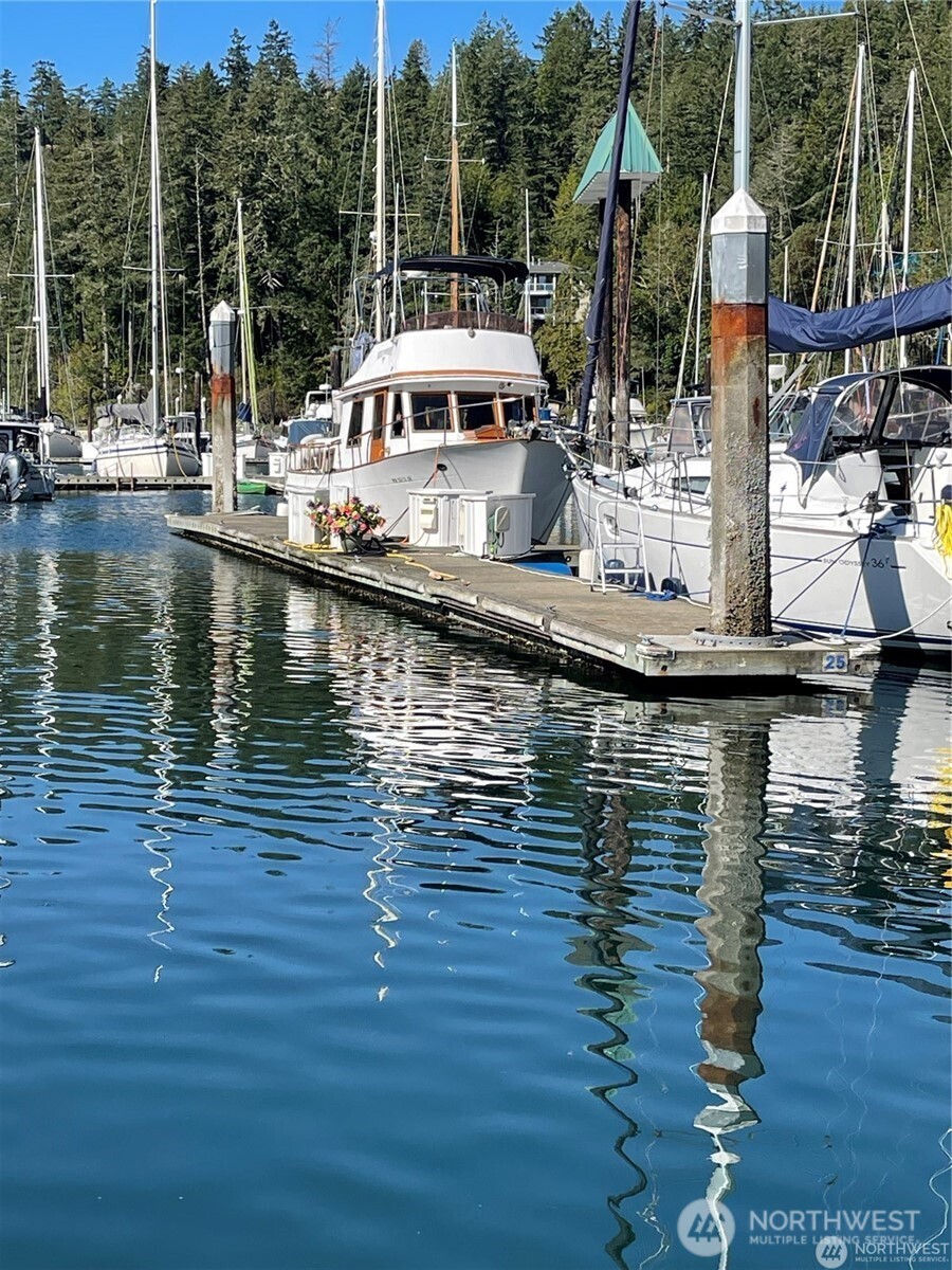 308913 Us-101 Brinnon WA 98320