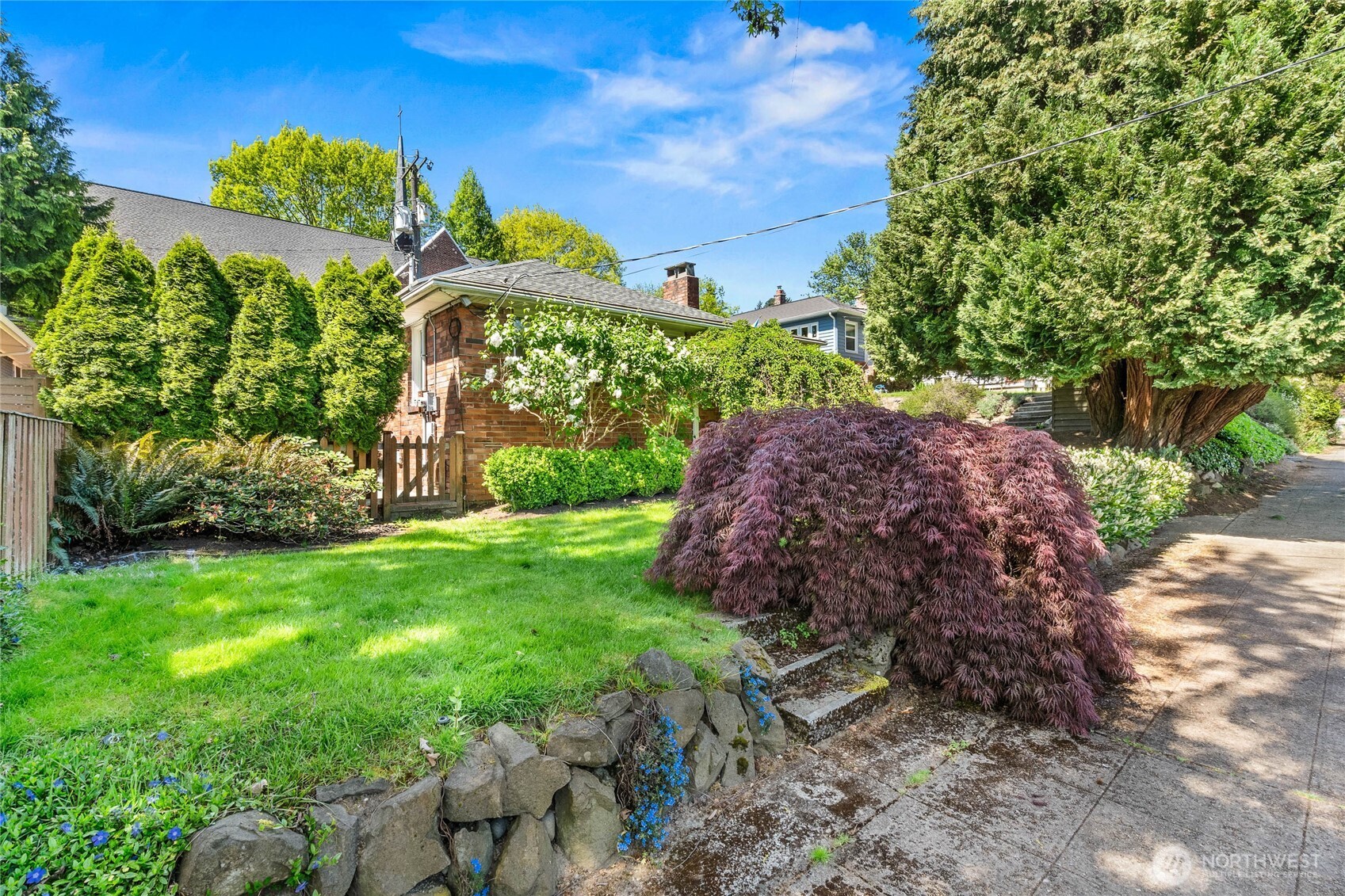 8205 19th Avenue NE Seattle WA 98115