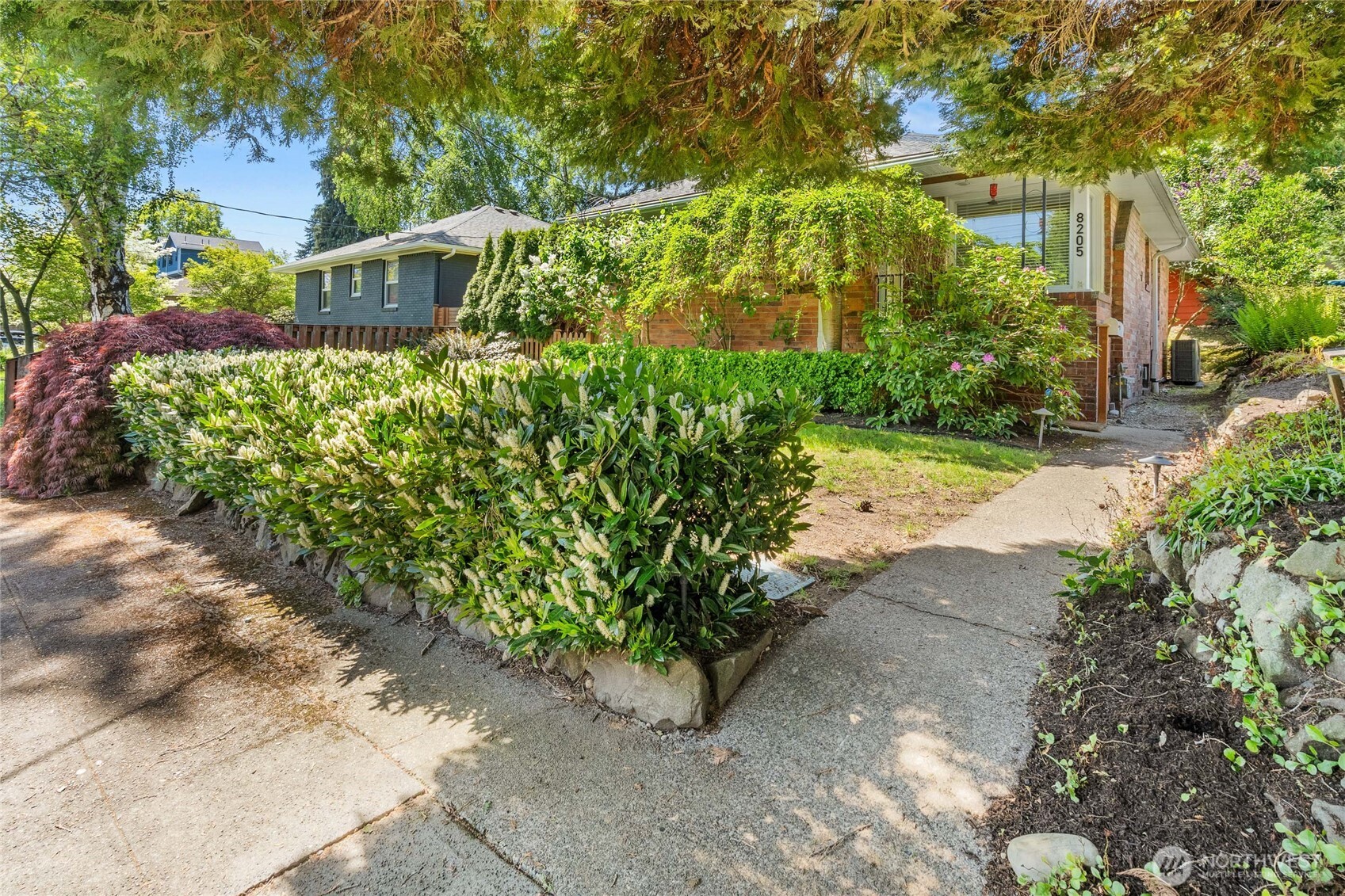 8205 19th Avenue NE Seattle WA 98115