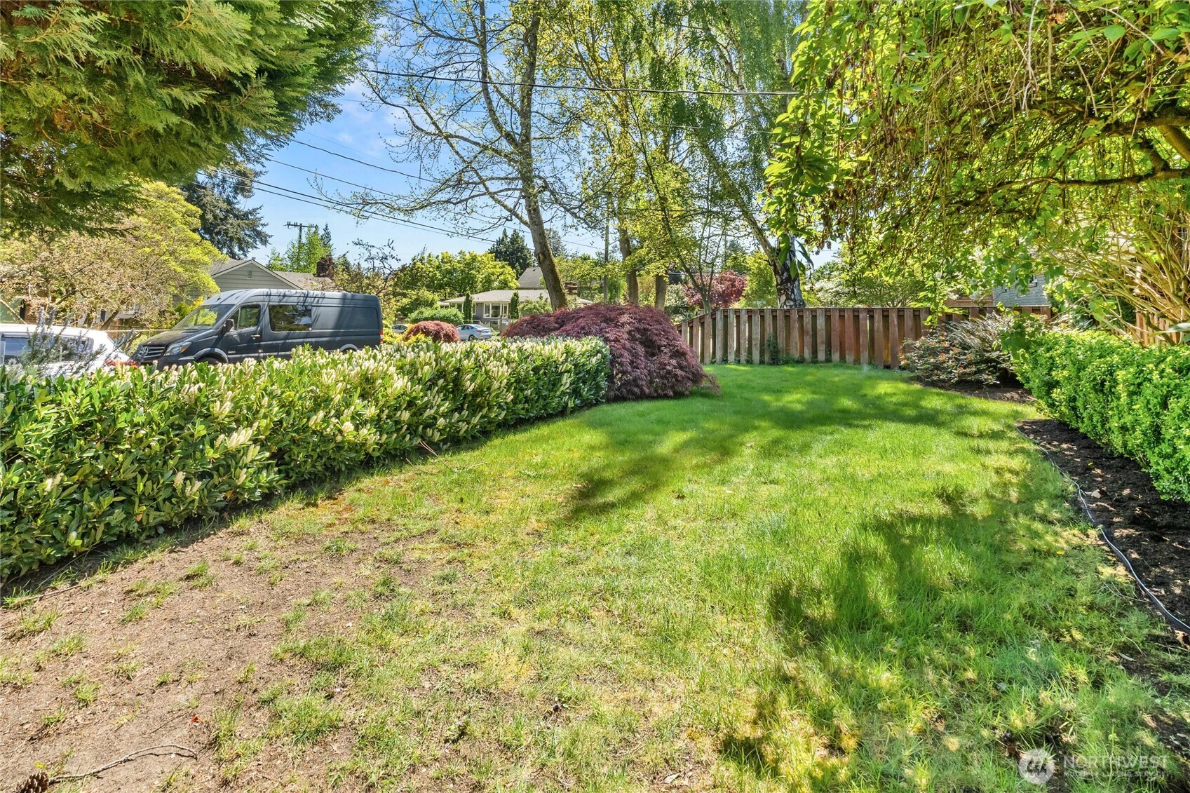 8205 19th Avenue NE Seattle WA 98115