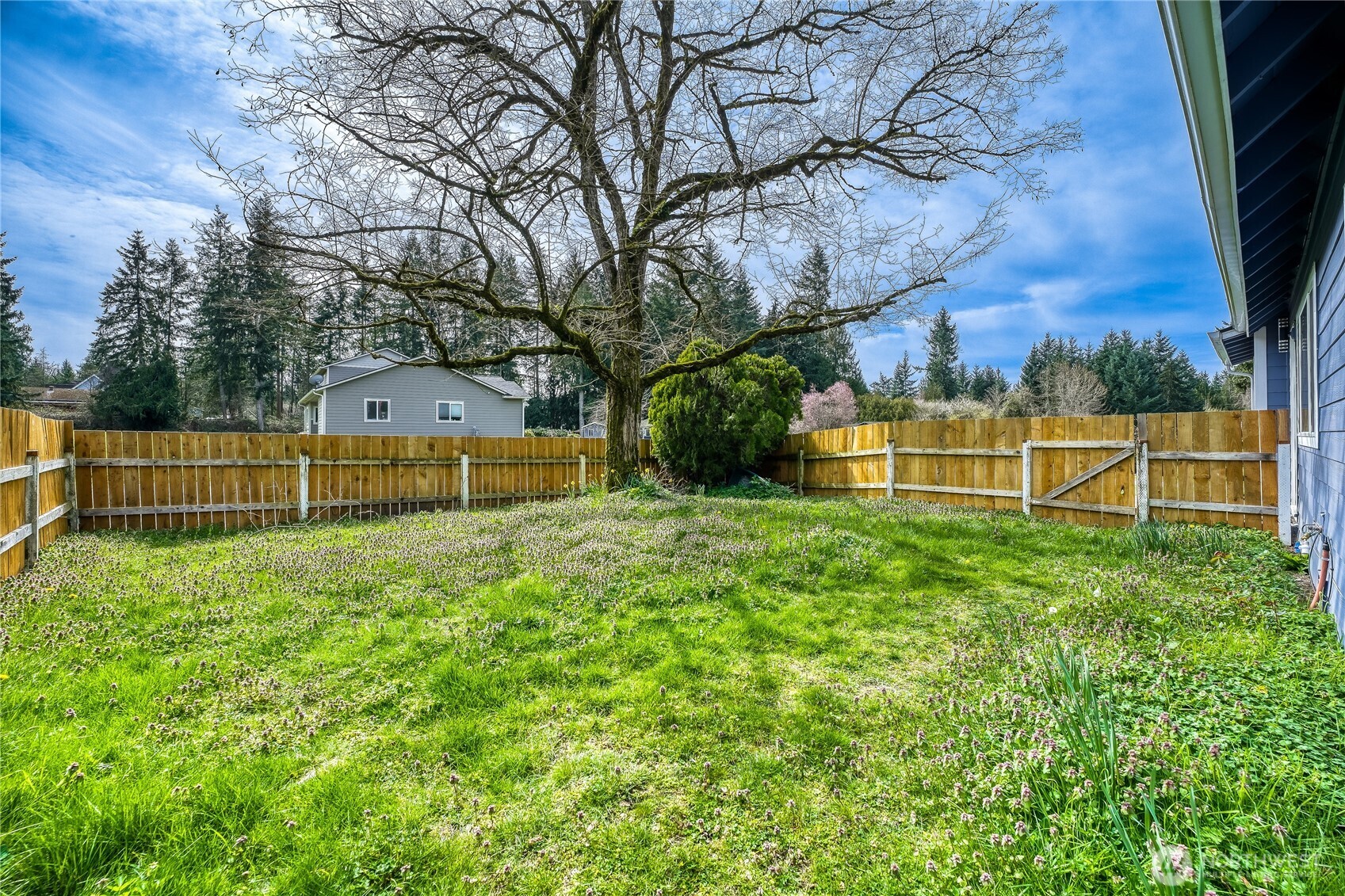 21004 NE 91st Street Redmond WA 98053
