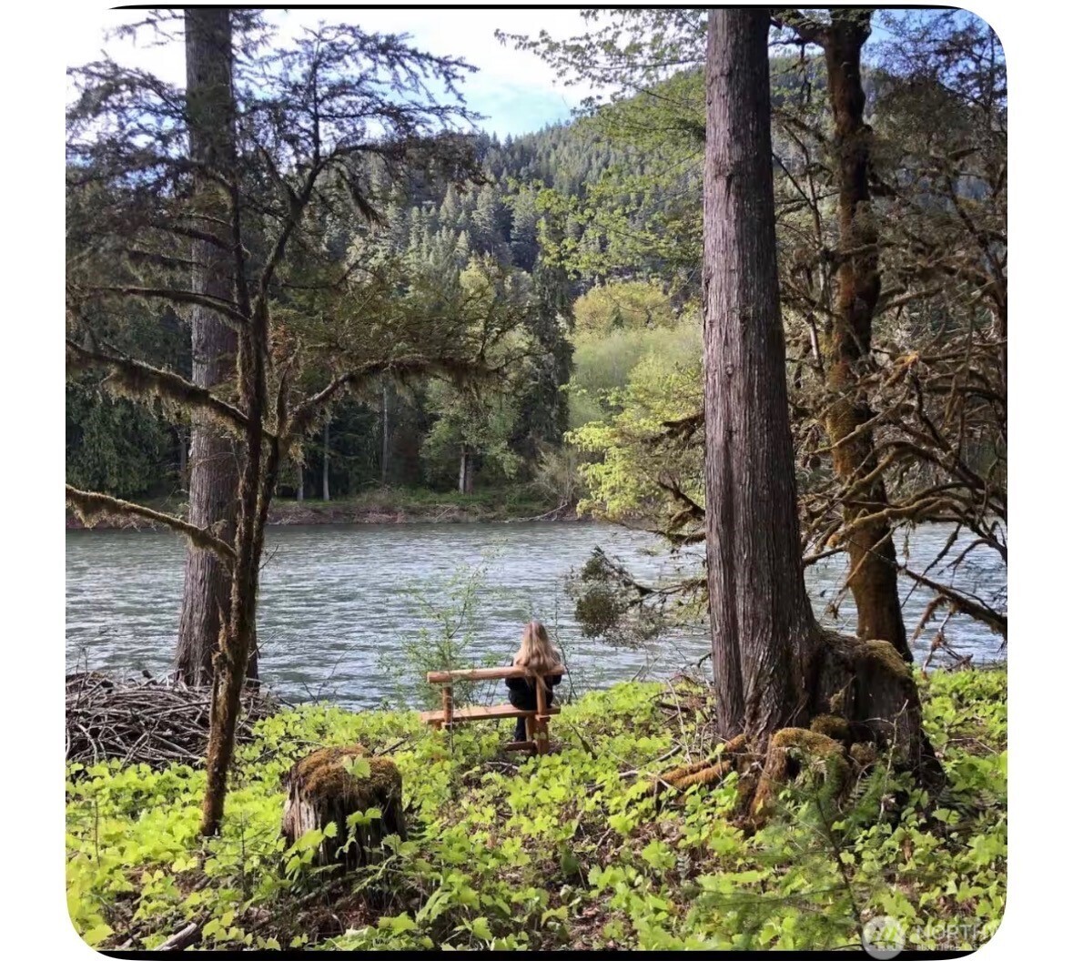 171 Baker Road Randle WA 98377