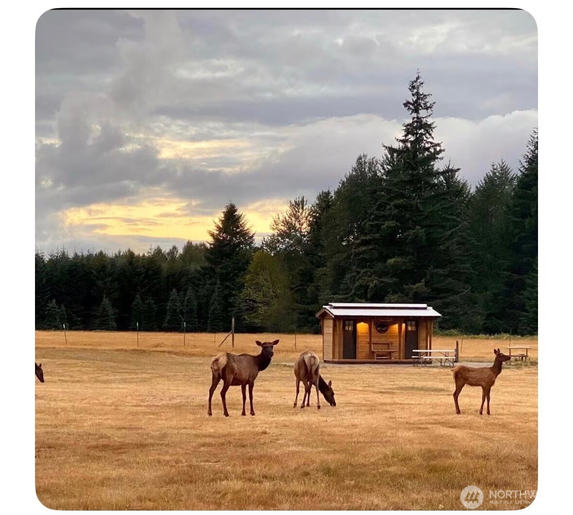 171 Baker Road Randle WA 98377