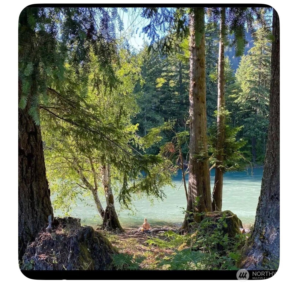 171 Baker Road Randle WA 98377